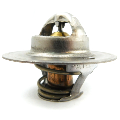 Kohler 276162-S Water Thermostat